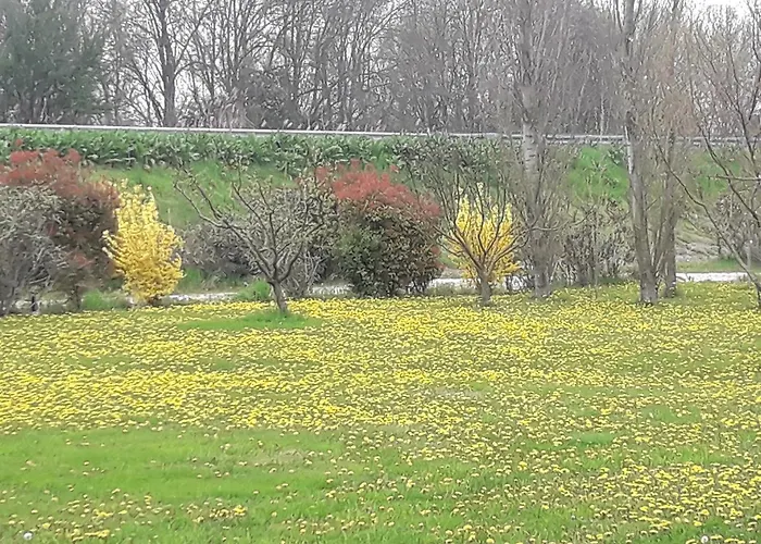 مزرعة للإقامة Al Navile *